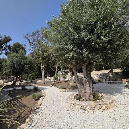 Maison Mahana Bed & Breakfast